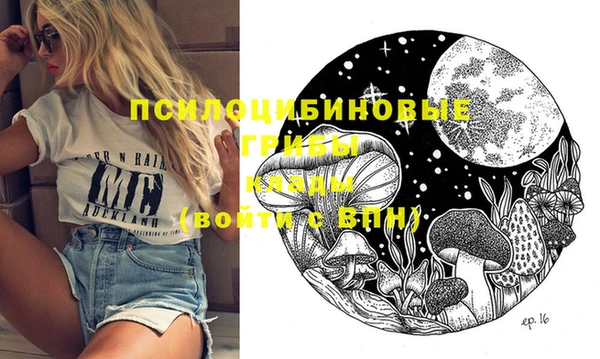 тгк Абаза